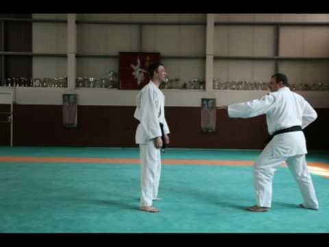 Démonstration Jujitsu & Self Défense