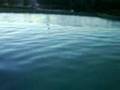 Fuente 1