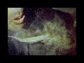 Click here to watch this video Fotografia - Movimiento Congelado