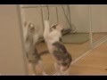 ���� ���� ��� ����