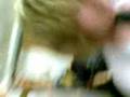 videos de Perfect Funeral Weather - She´s like Pizza