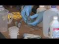 Biodiesel Titration Kit | What is Needed, Where to Get It