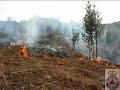 PROTECCION CIVIL MIERES forestales PROTECCION CIVIL MIERES forestales