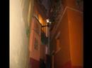 GUANAJUATO-CERVANTINO