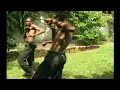 etat civil v12 koffi olomide