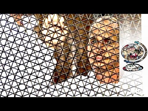 World petitions Egypt over Al Jazeera trial