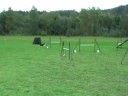 Vem vinner, �lva eller Lyn?