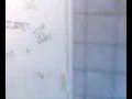 Tag Provocateur à Bourgoin Jallieu 003