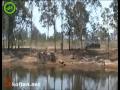 Dumpert Fail Compilatie December 2009