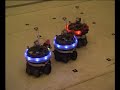 Robots enjambre (swarm-bots.org)