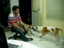 Goliat Sasha y Jonathan