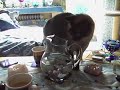Rufus und das Edelsteinwasser im Krug