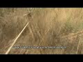 THE FUNNIEST CONFUSION IN AIRSOFT MARACIBO VENEZUELA