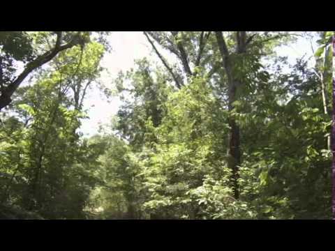 197 acres Brashear, TX