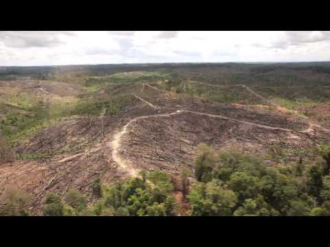 Supply Chain, Supply Change 