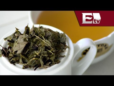 Propiedades del té verde para perder peso: últimas noticias
