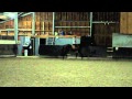 Whisper jan 2012