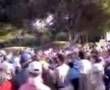 Tadd Fujikawa gets swamped by fans