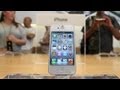 Apple Dodged $2.4 Billion In Taxes Last Year