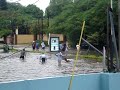Inundacion Avenida Sarasota