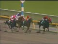 broadappeal @ Negishi stakes