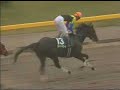 broadappeal @ Negishi stakes