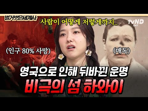 [#벌거벗은세계사] 하와이 섬에 불어닥친 비극의 시작은 영국 때문?!👿 원주민 사회를 뒤흔든 전염병과 전쟁💥