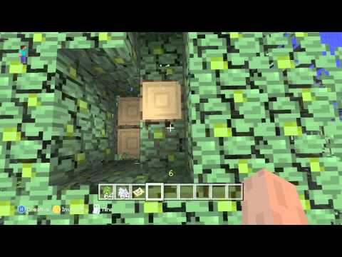 how to grow a big tree in minecraft xbox