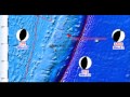 M 5.8 EARTHQUAKE - TONGA 02/04/12