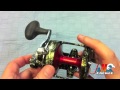 Avet MXL Raptor Fishing Reel - Raptor Skin Color - J&H Tackle