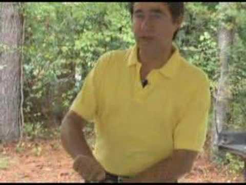 how to dissolve bone