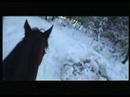 Snow Walking 1