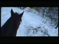 Snow Walking 1