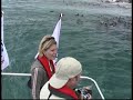 Whale Watching South Africa