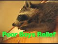 Poor Boys Relief - Mole Rat