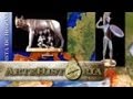 Conquista de Hispania