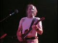 adrian belew live in buffalo young lion