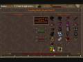 Huge Ammounts of Money on Runescape