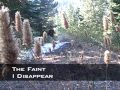 Hiking, with Jake and Sylvain