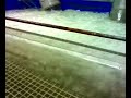 Itt*o von Harry´s Koi - Teil 2 - Itt*o von Harry´s Koi - Teil 2 -