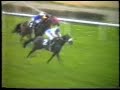 1991 (96) Premio CAPITAN GENERAL FRANCO (1.ª C.) (CICLON)