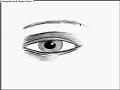 drawing of an eye drawing of an eye
