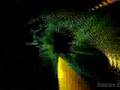 Balearic Bill - Destination Sunshine (Donk Mix)