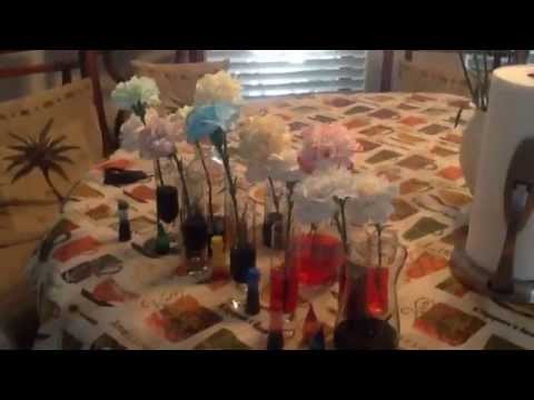 how to dye carnations