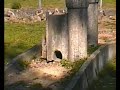 Video sobre los restos del antiguo Hotel Balneario de Mondariz (Pontevedra), fuente da Gándara y jardines. Se ven detalles curiosos de los antiguos jardines, como una maqueta a escala del hotel, un juego de bolas, la piscina y un invernadero. Filmado en agosto de 1999.