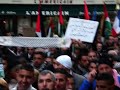 Manifestation pour Gaza à Avignon France