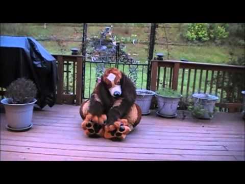 Pidge- Princess of puppies- cocker spaniel mascot