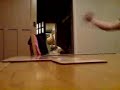 Flickyhandthing