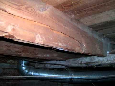 how to repair i joist