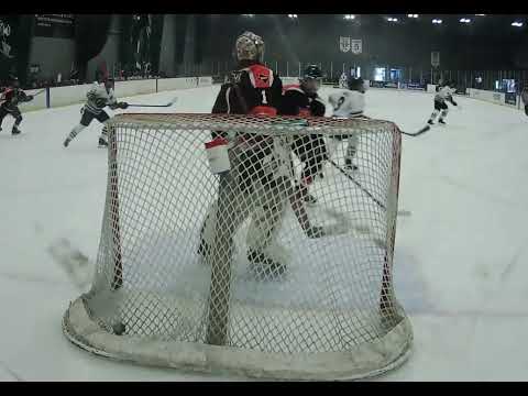 Texas Tigers 16UA v Houston Jr. Aeros 16UA